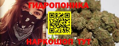 Альфа ПВП Ипатово