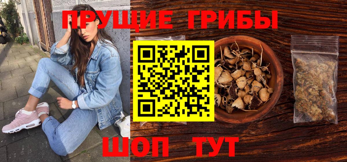 Галлюциногенные грибы GOLDEN TEACHER Городец